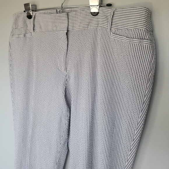 LOFT Pants - Loft Seersucker Ankle Length Blue & White Pants SZ 16